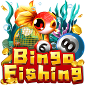 Cu C Bingo - 13win com app